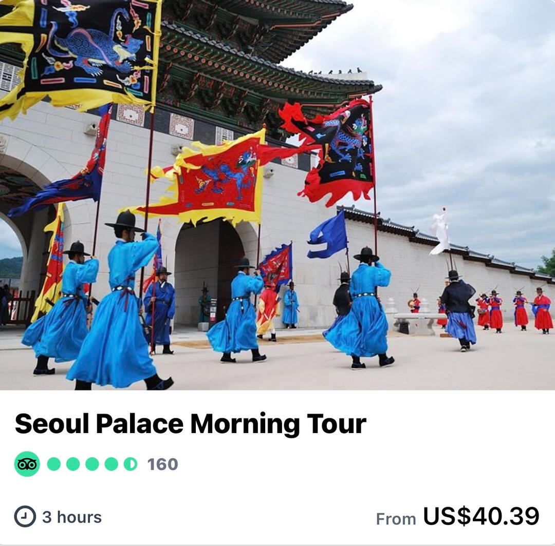 Seoul Palace Morning Tour